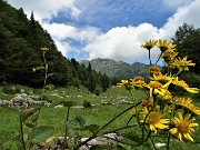 83 Sul sent. 502 in direzione Passo del Sappli